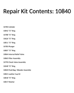 700PV Injection Gun Repair Kit # 10840